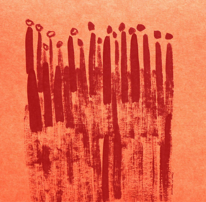 Red Cascade Shadows