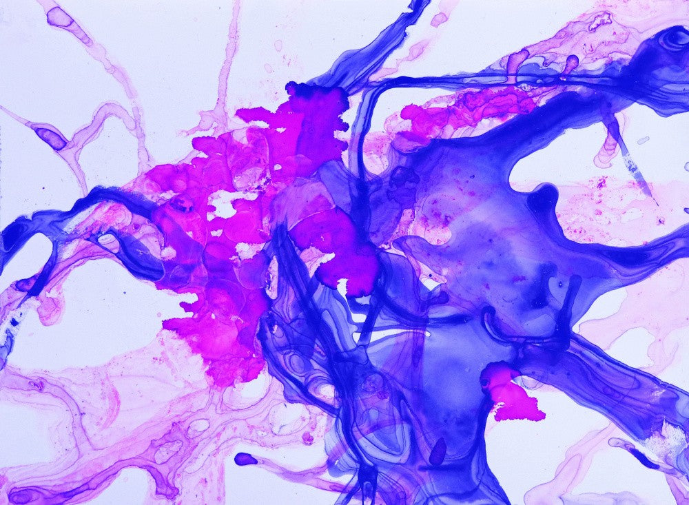 Violet Splash