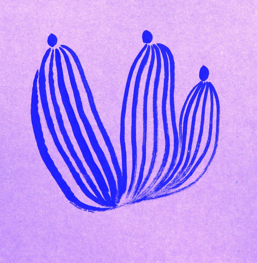 Cerulean Blossoms
