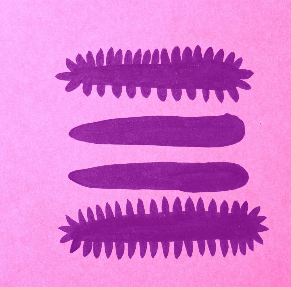Rayures Violettes Audacieuses