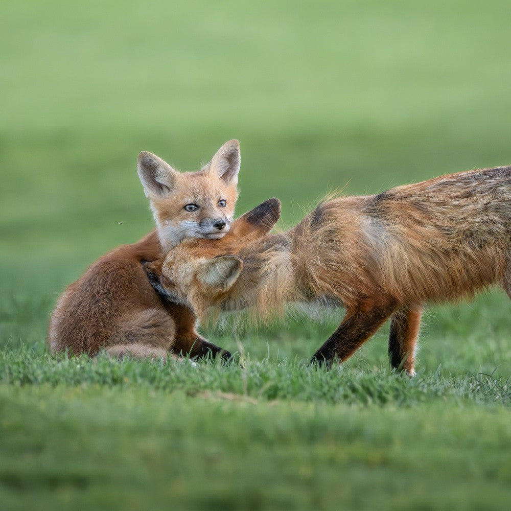Lean on mommy