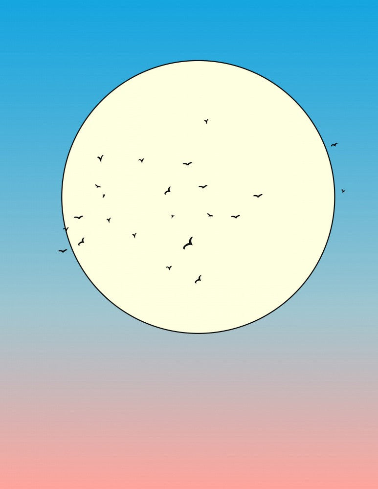 Birds In The Sky
