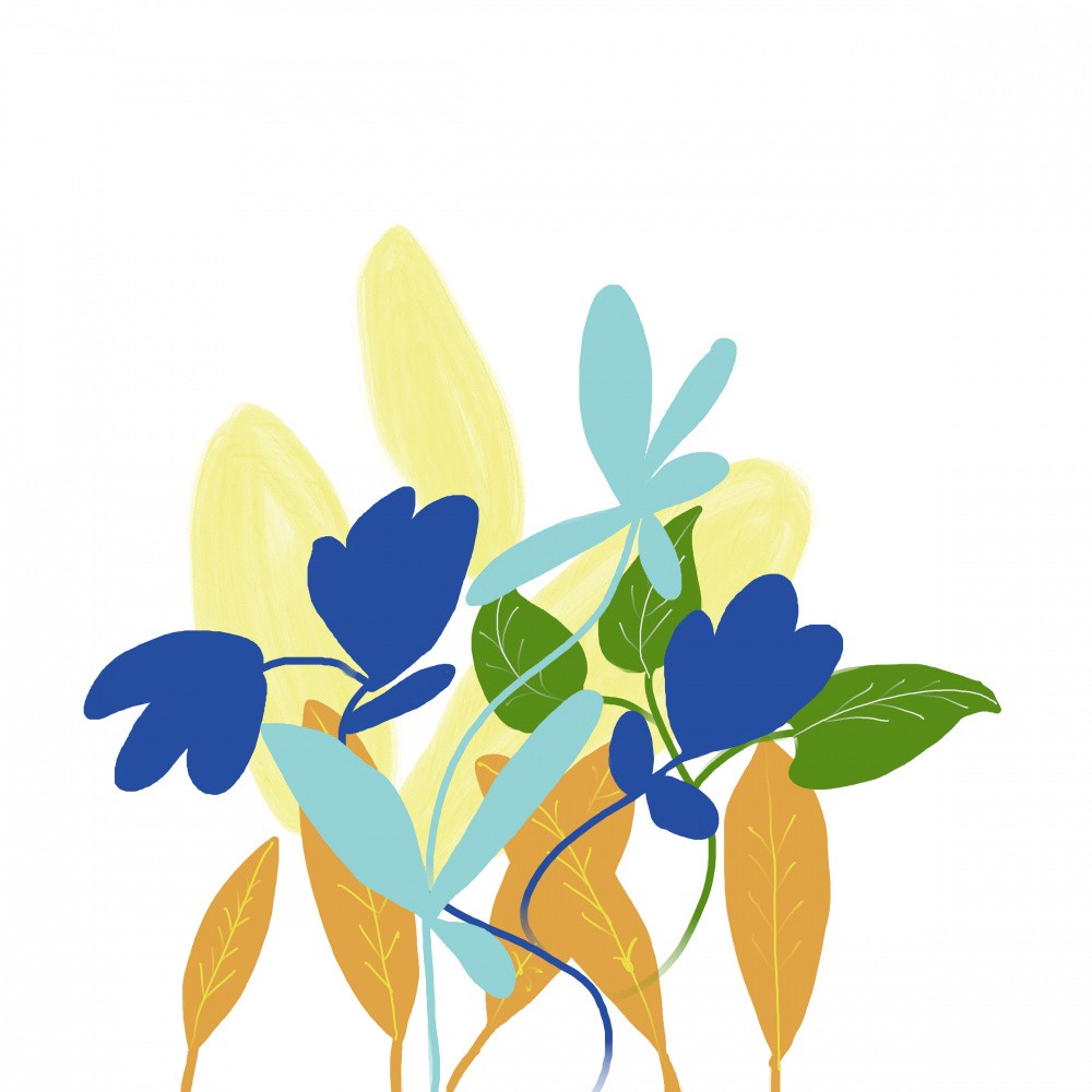 Wildflower Mix 4