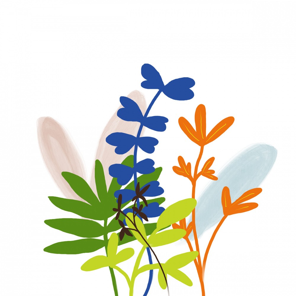 Wildflower Mix 3