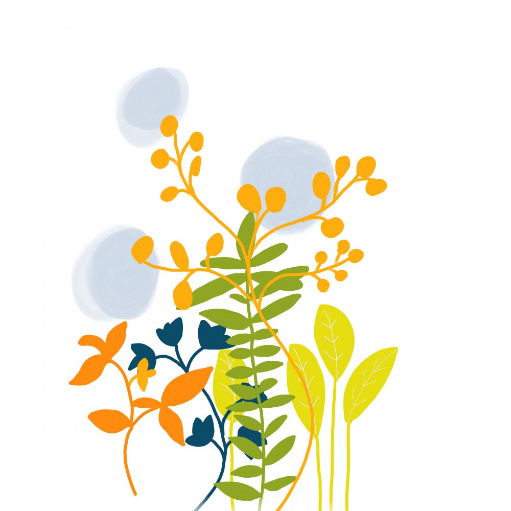 Wildflower Mix 2
