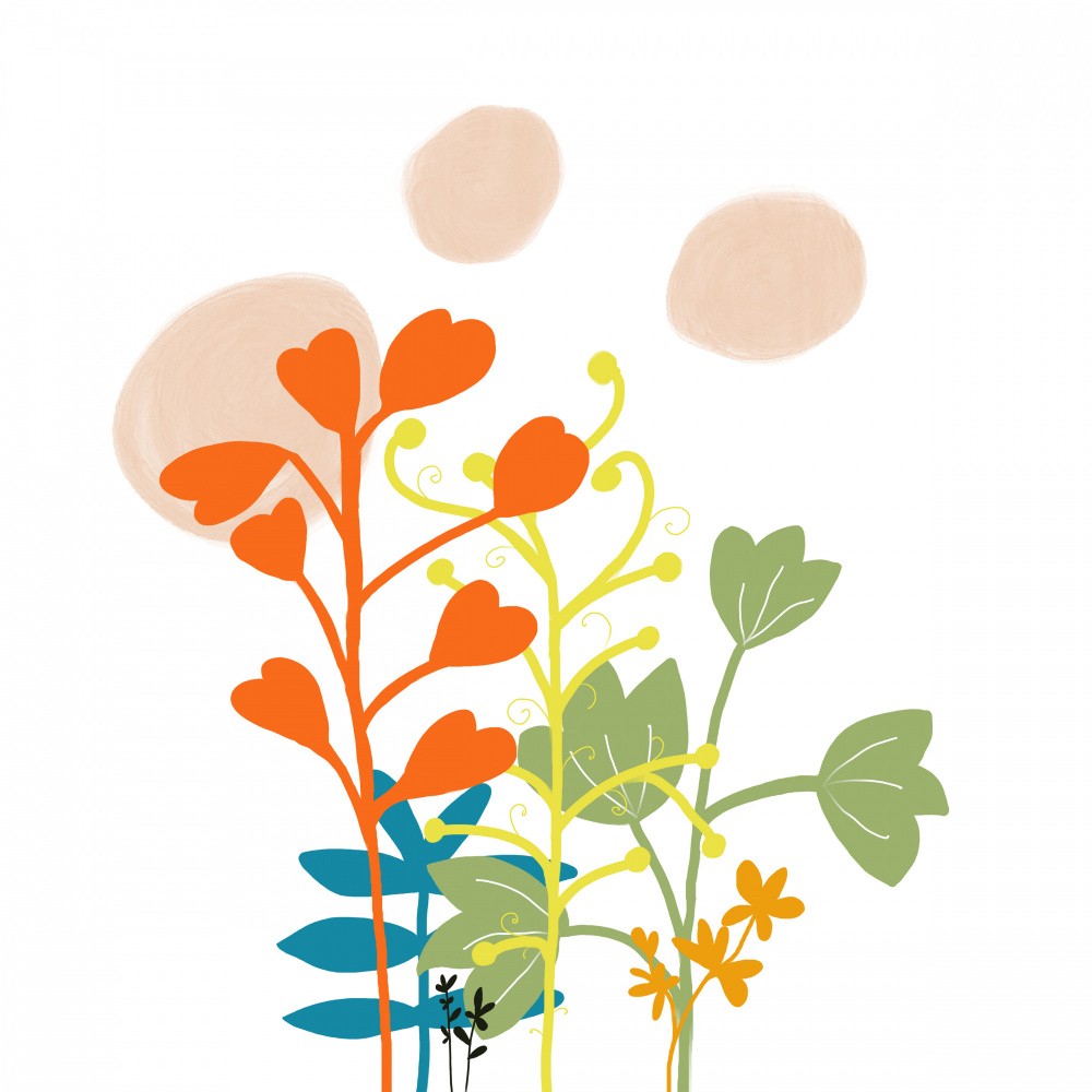 Wildblumenmischung 1