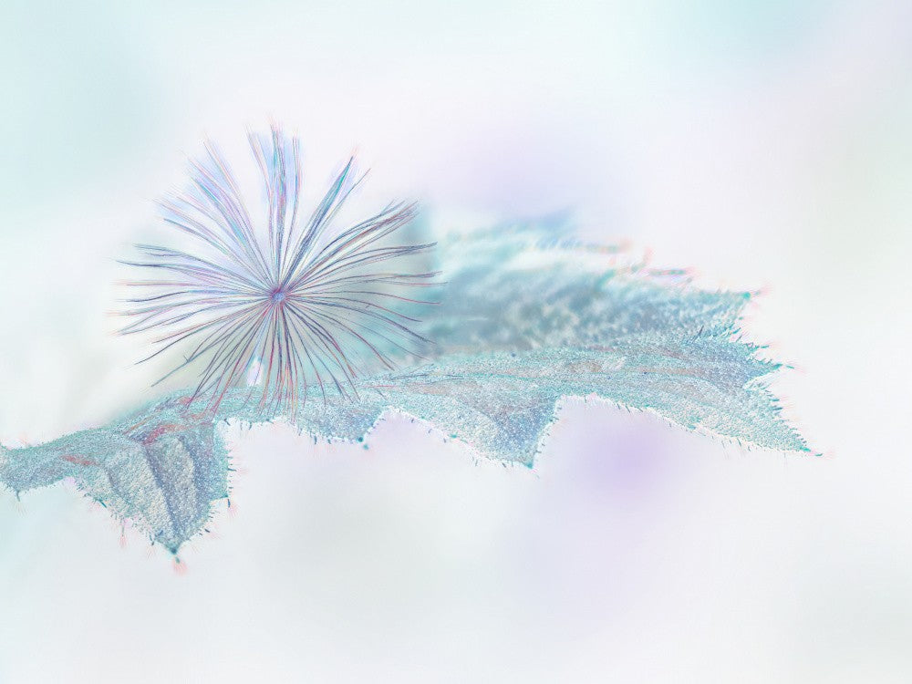 A Breath of Magic