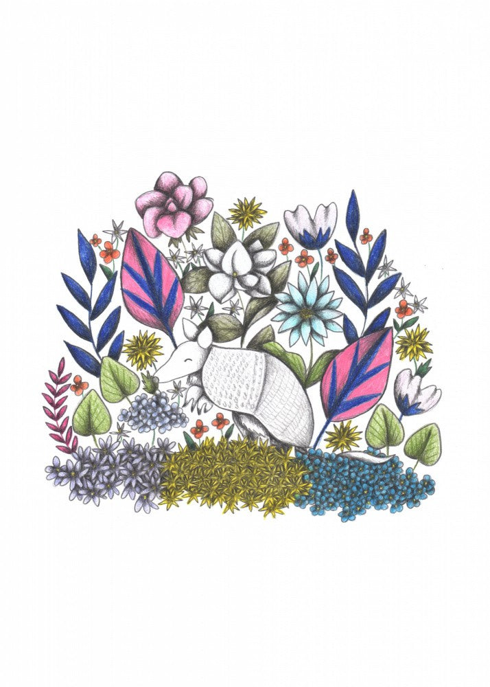 Armadillo's Garden