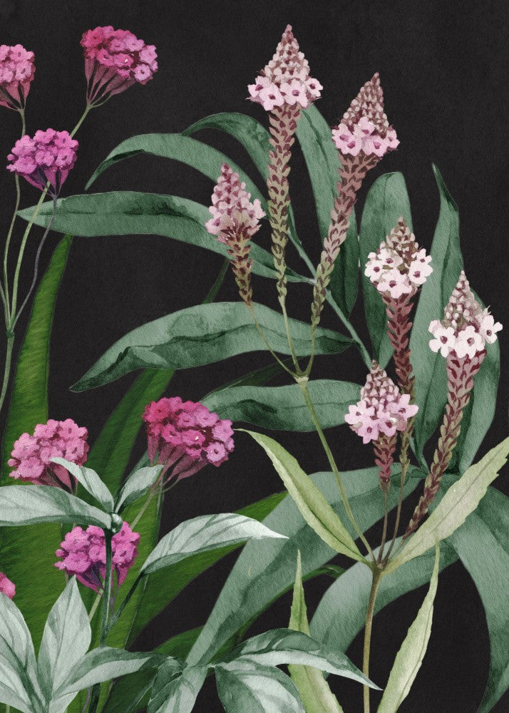 Floral Symphony