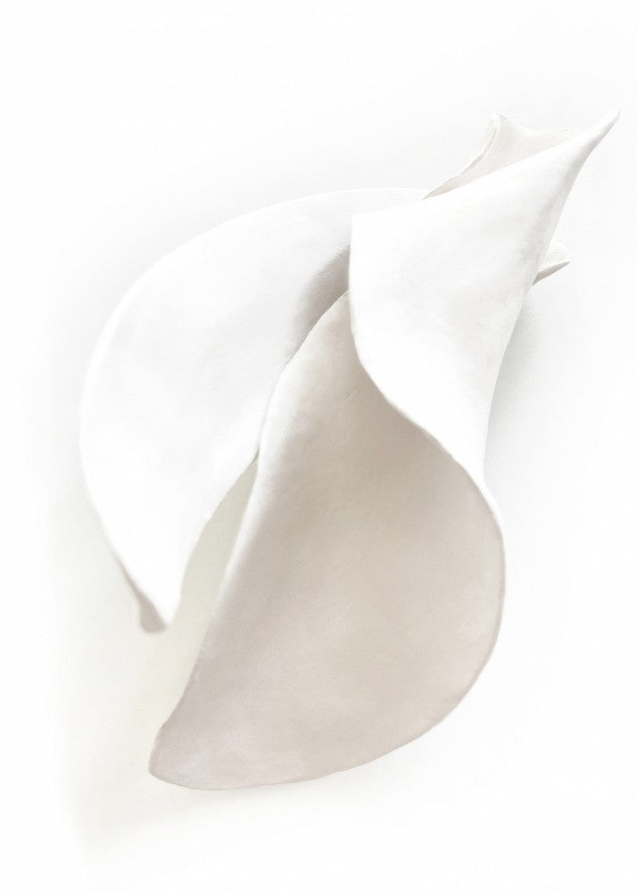 Petal's Silence