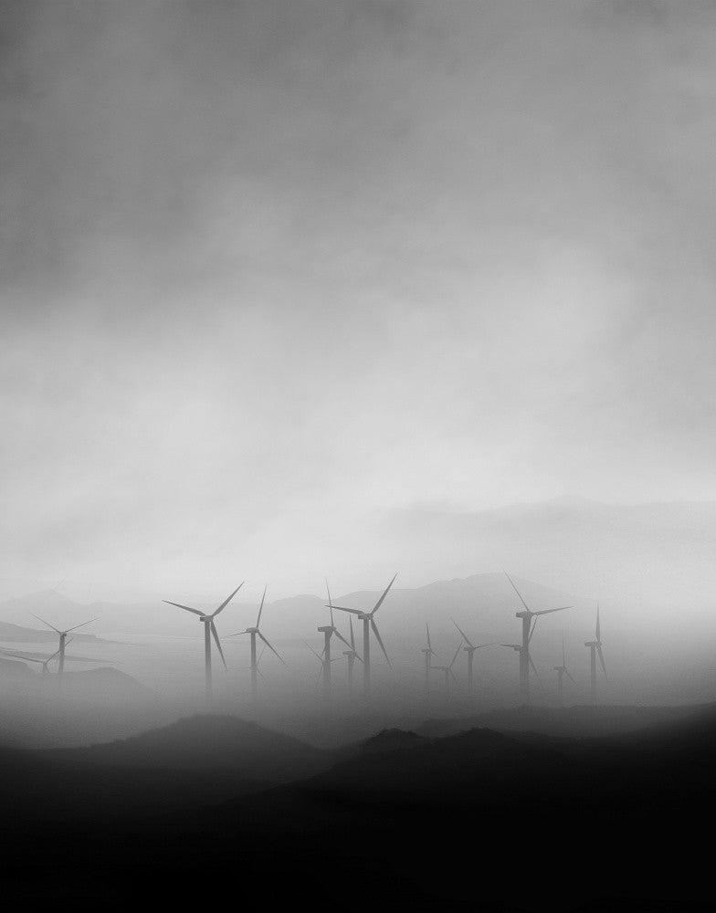 Silence in the Wind
