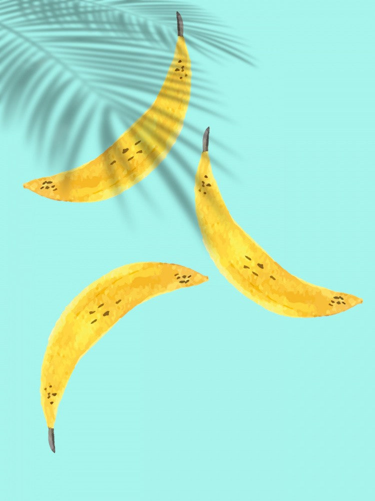 Tropical Trio