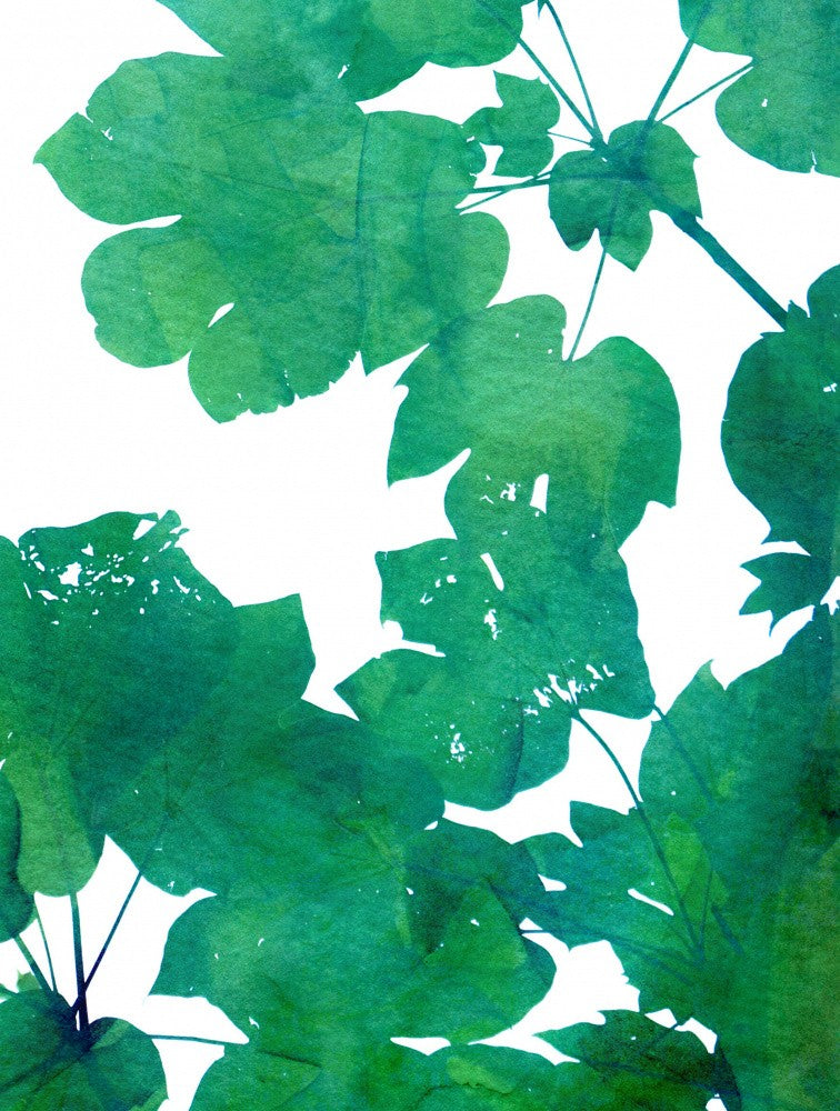 Emerald Canopy