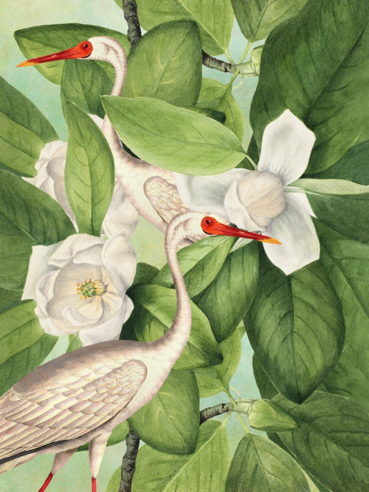 Cranes Among Blooms