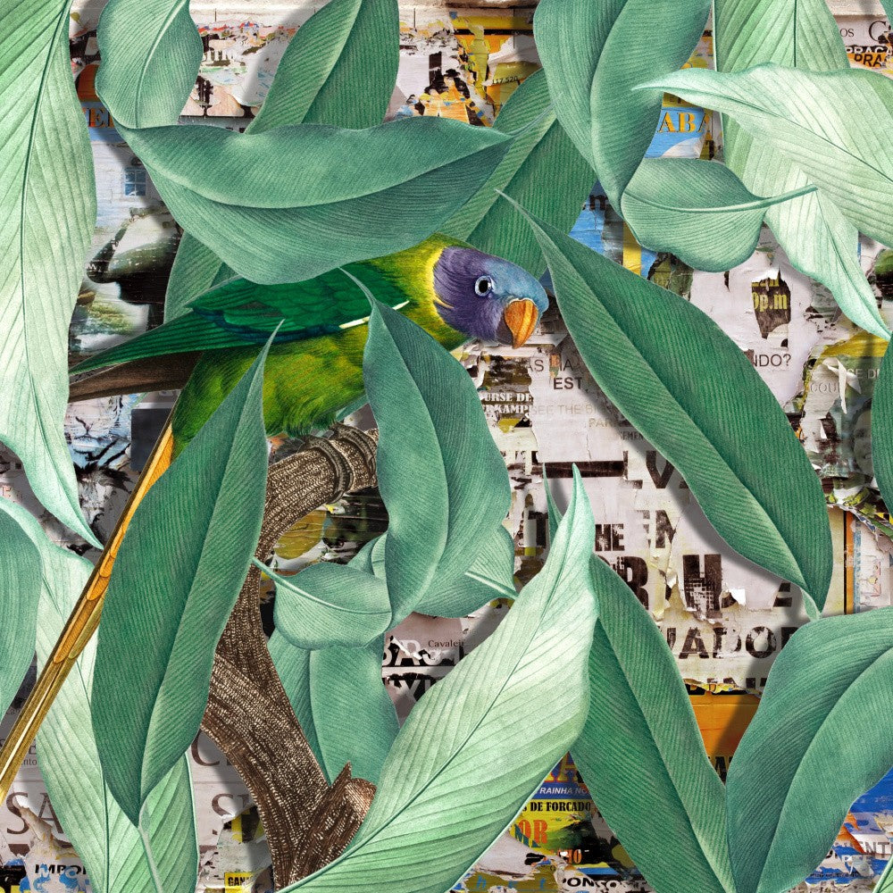 Parrot's Verdant Haven