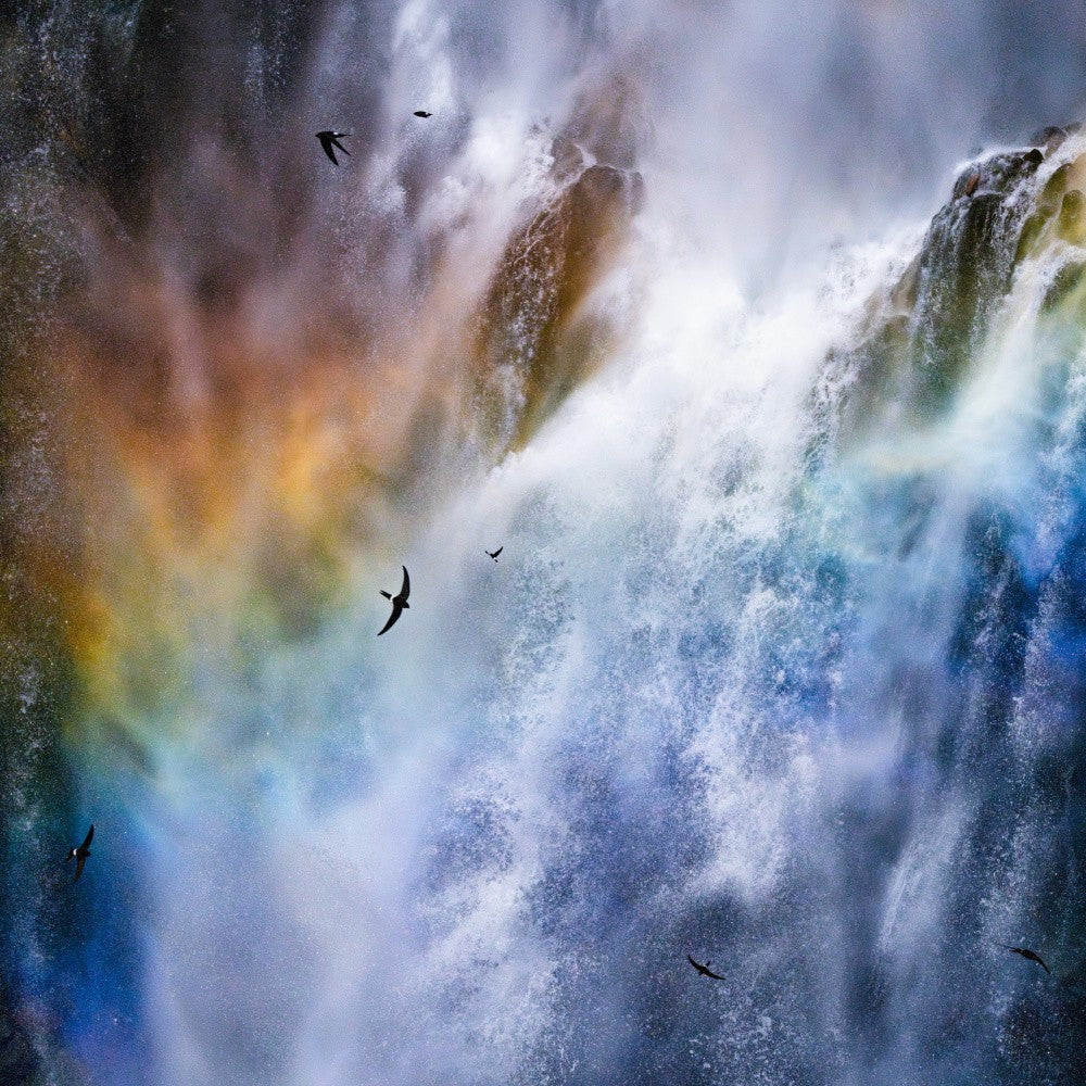 Vögel, die am Wasserfall leben