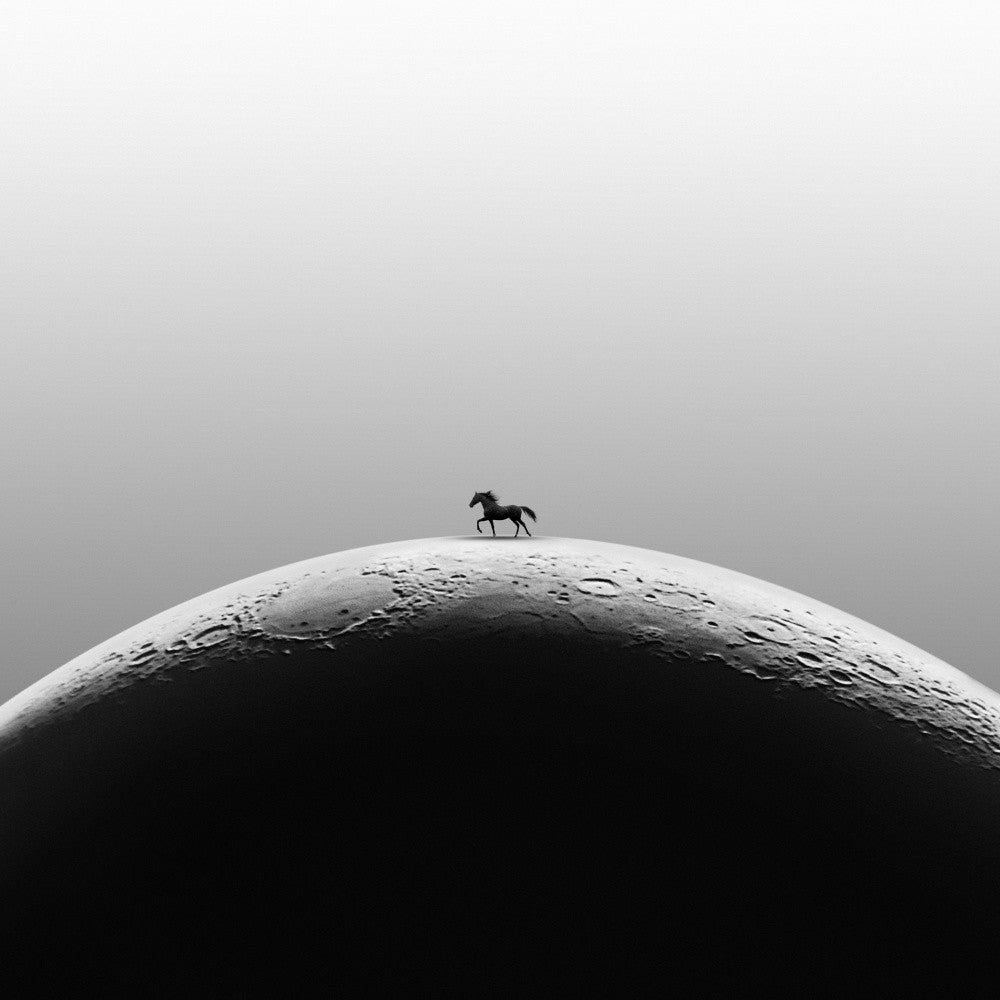 Moon dream