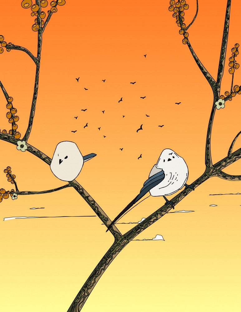 Sunset Perch