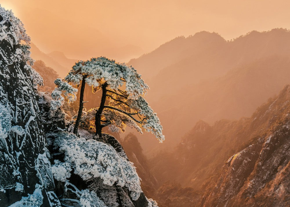 Resilience on the Edge