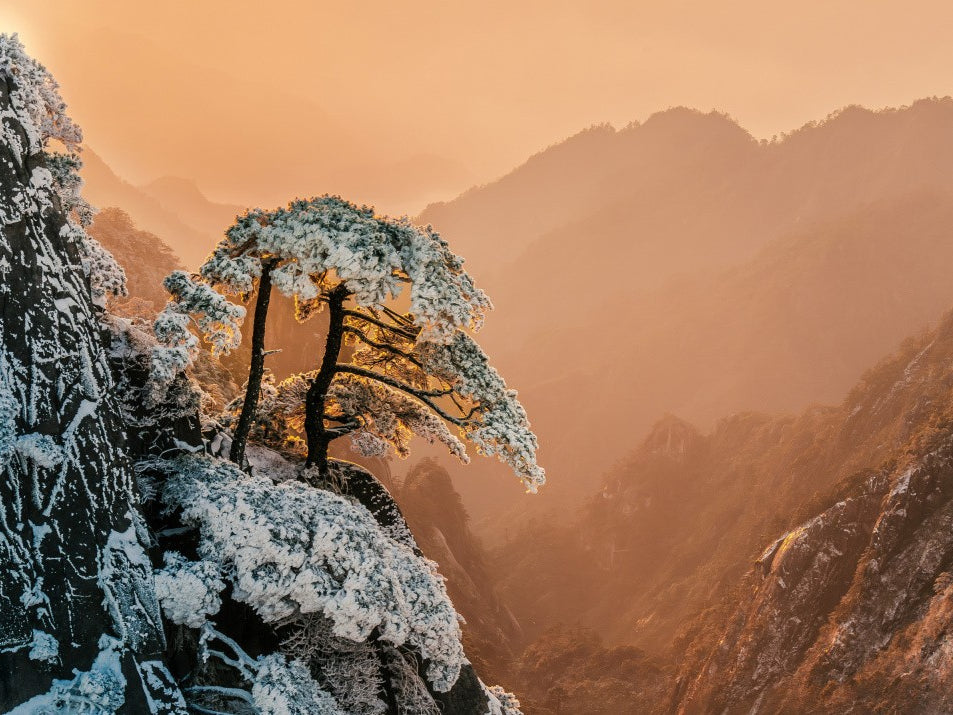 Resilience on the Edge