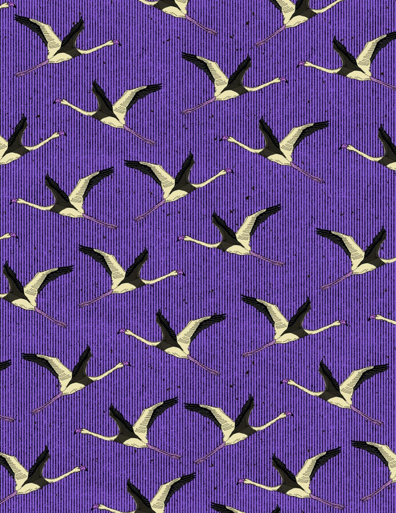 Crane Flight Pattern