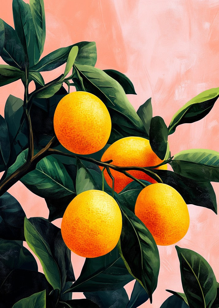 Evergreen Tropical Summer Fruits Oranges  (3)