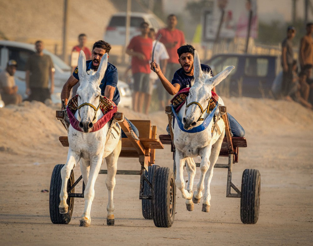 Hanatil: The Desert Race