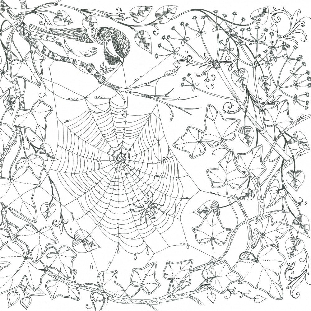 Cobweb