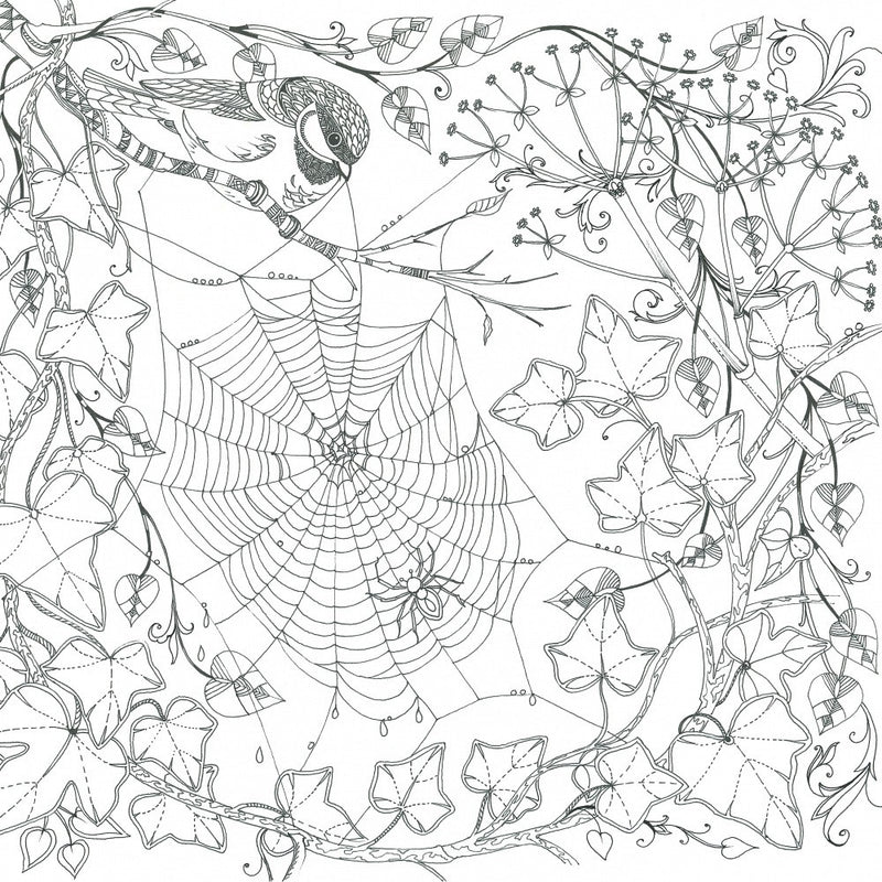 Cobweb