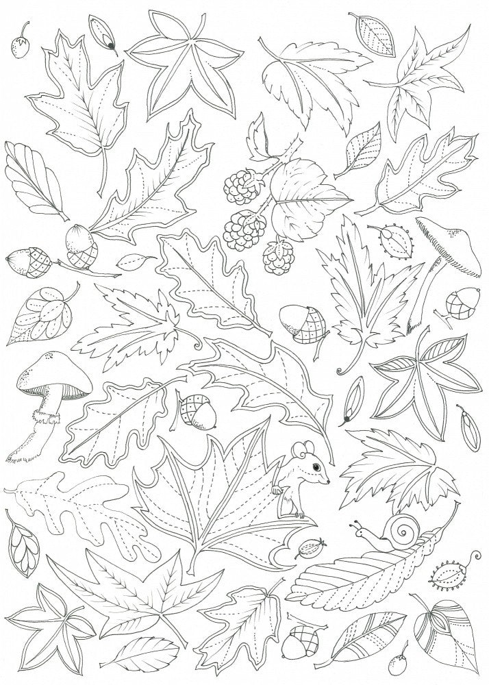 Floating Leaves