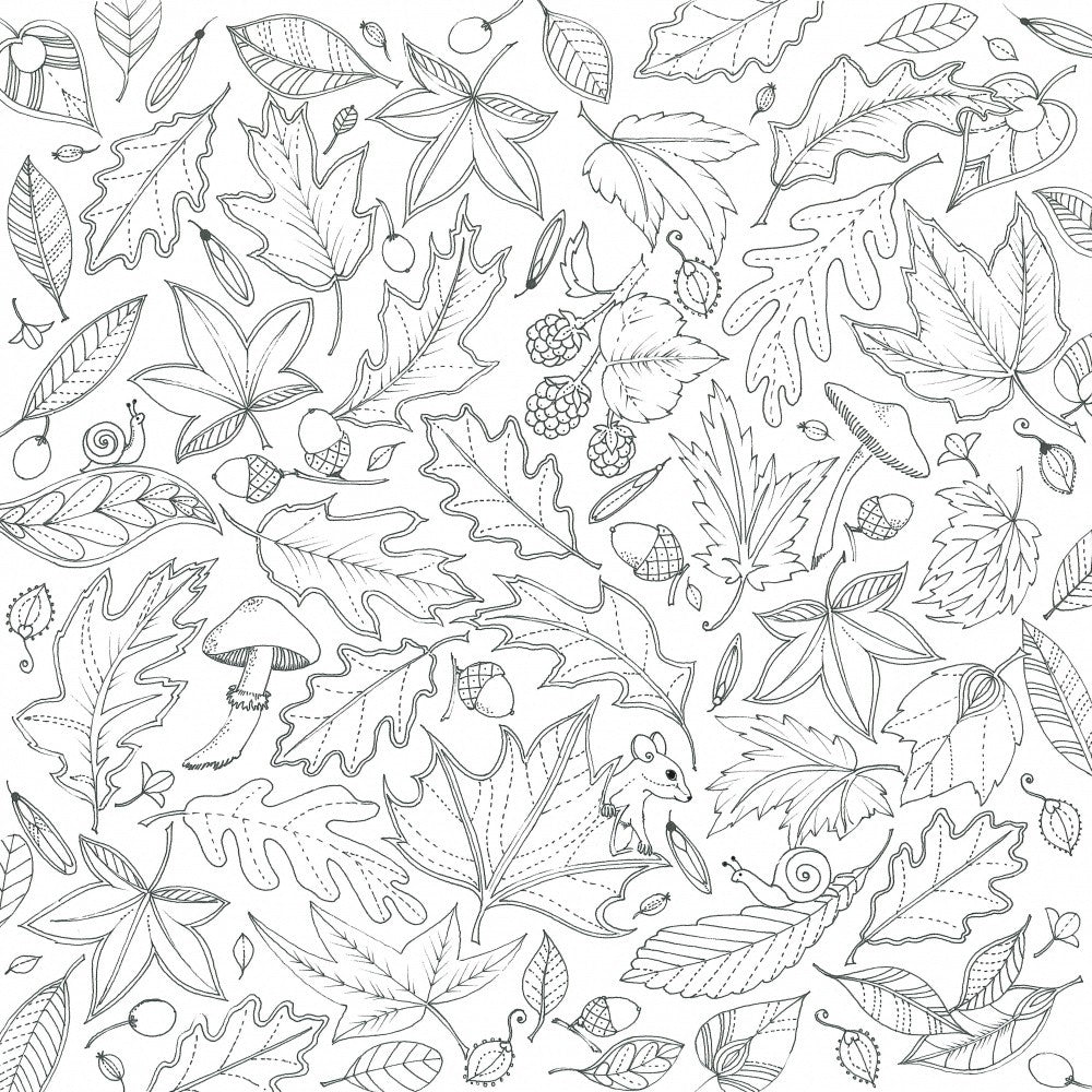 Floating Leaves