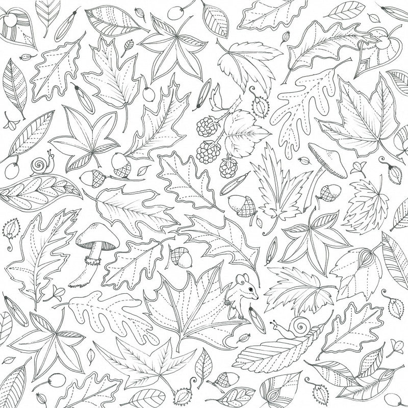 Feuilles Flottantes