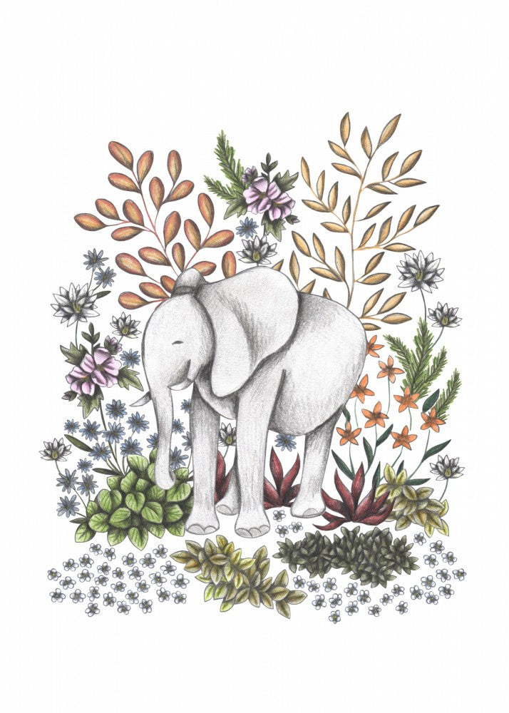 SAFARI Elephant