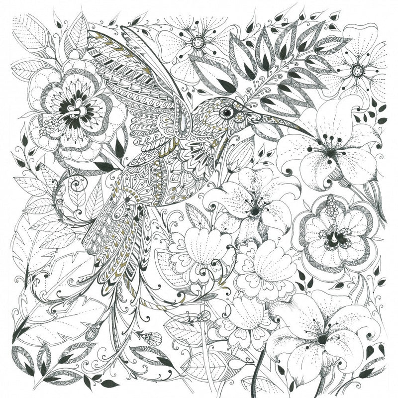 Colibri et Fleurs