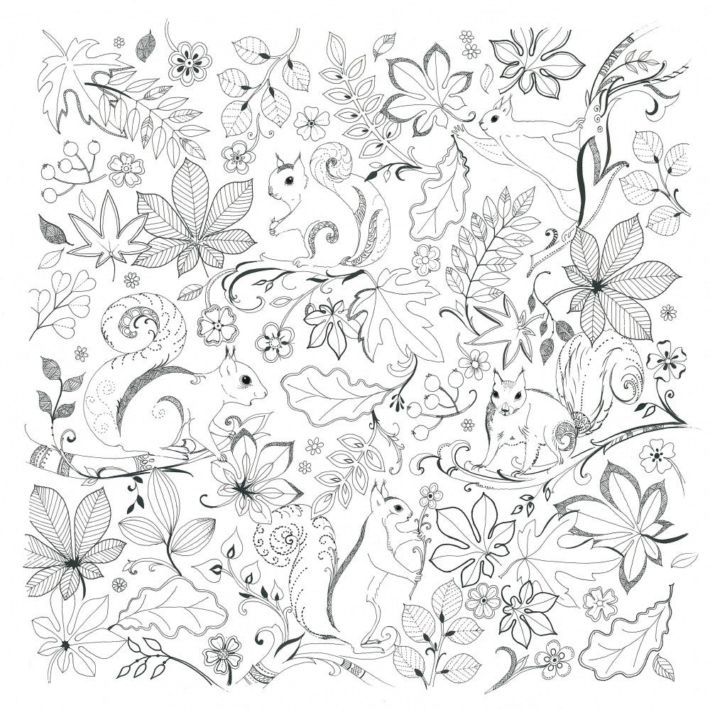 Squirrels and Leaves