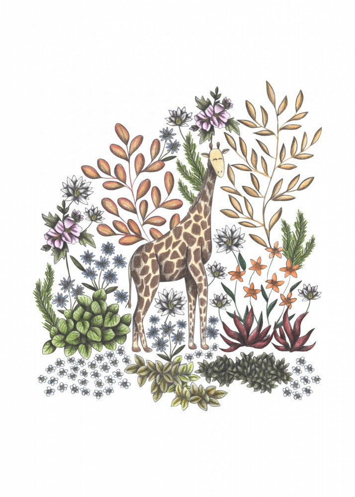 SAFARI Giraffe