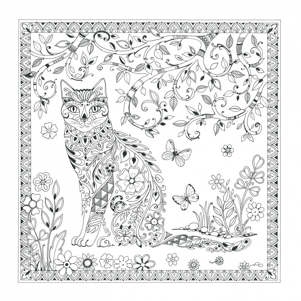 Cat  and Butterflies
