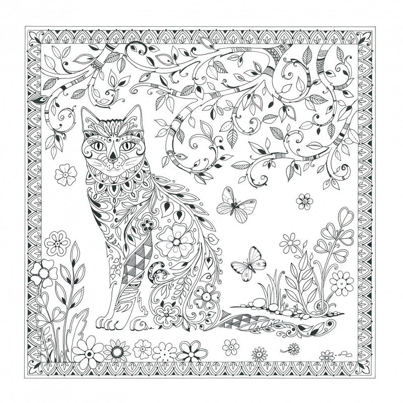 Cat  and Butterflies