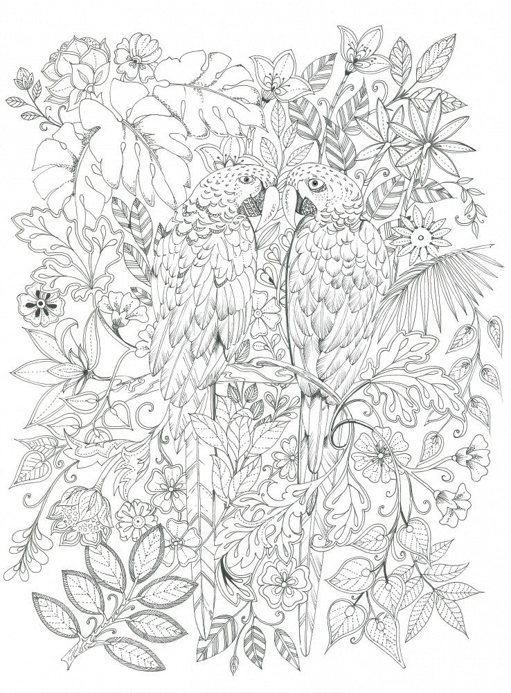Parrots