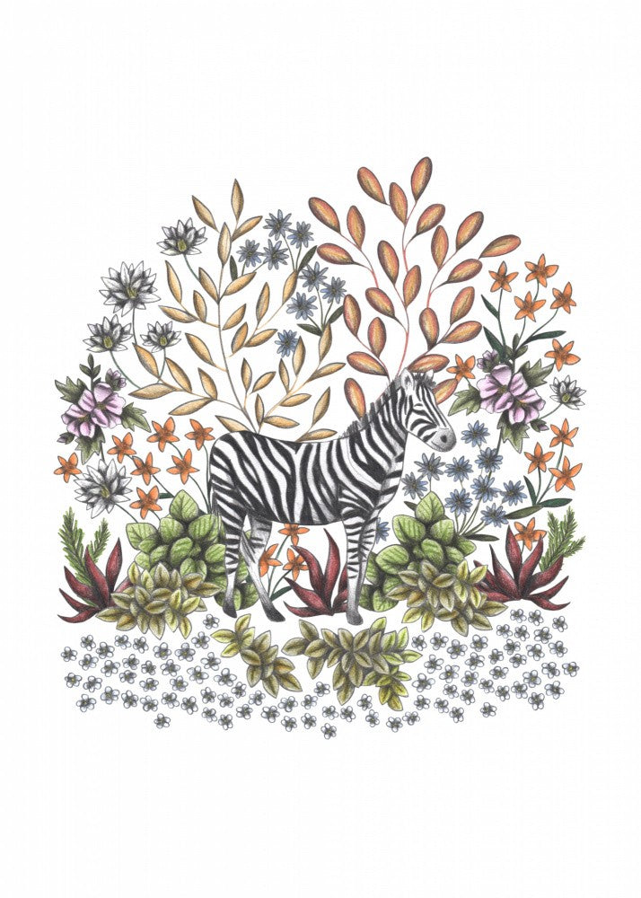 SAFARI Zebra