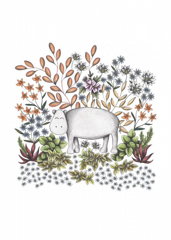 SAFARI Hippo