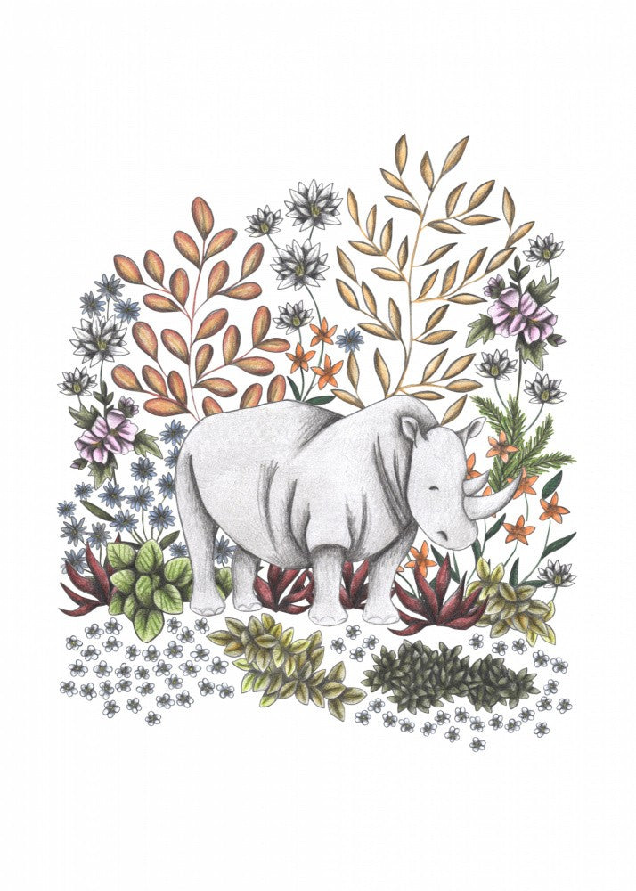 SAFARI Rhino