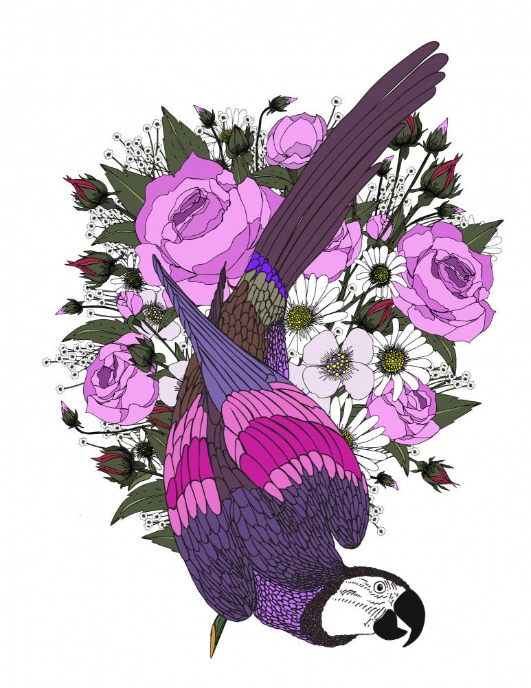 Parrot And Flowers
