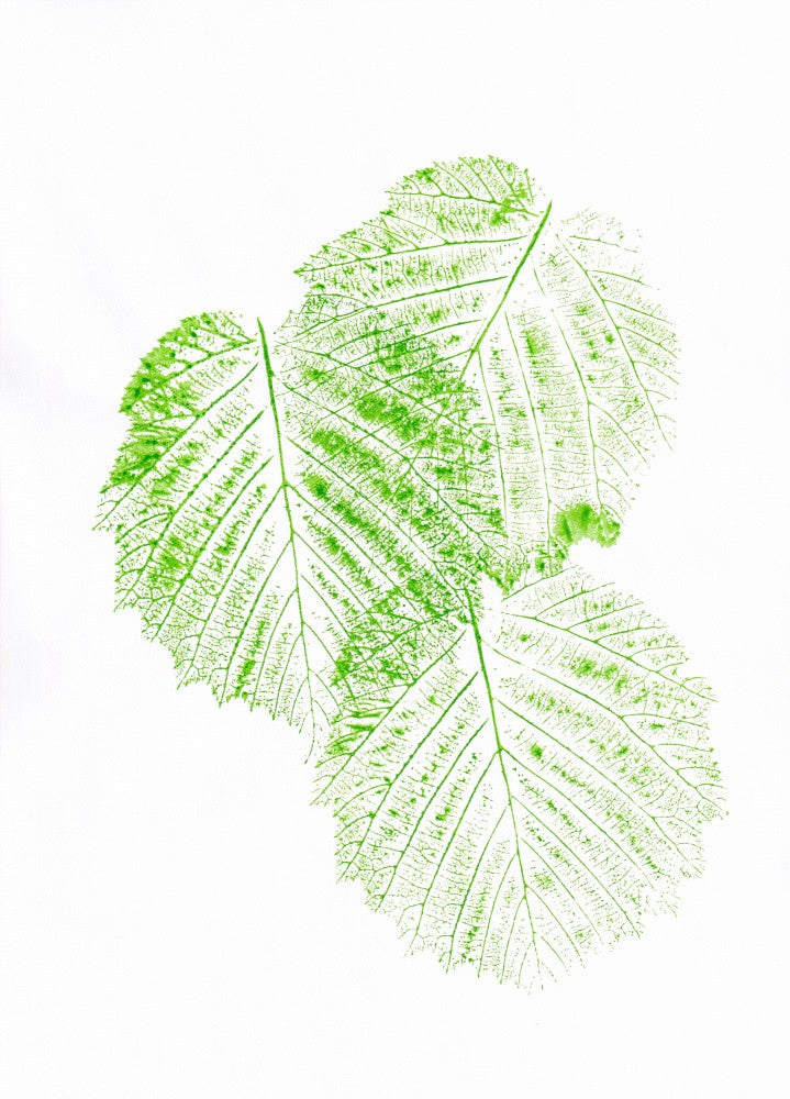 Leaves Green