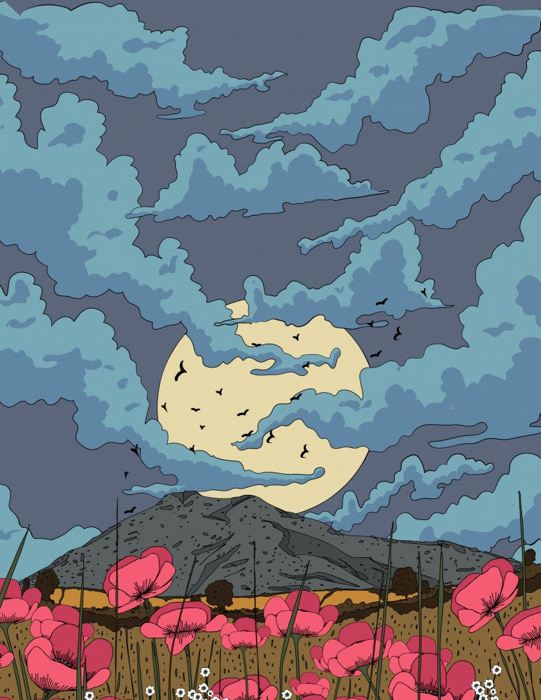 Poppy Evening Landscape