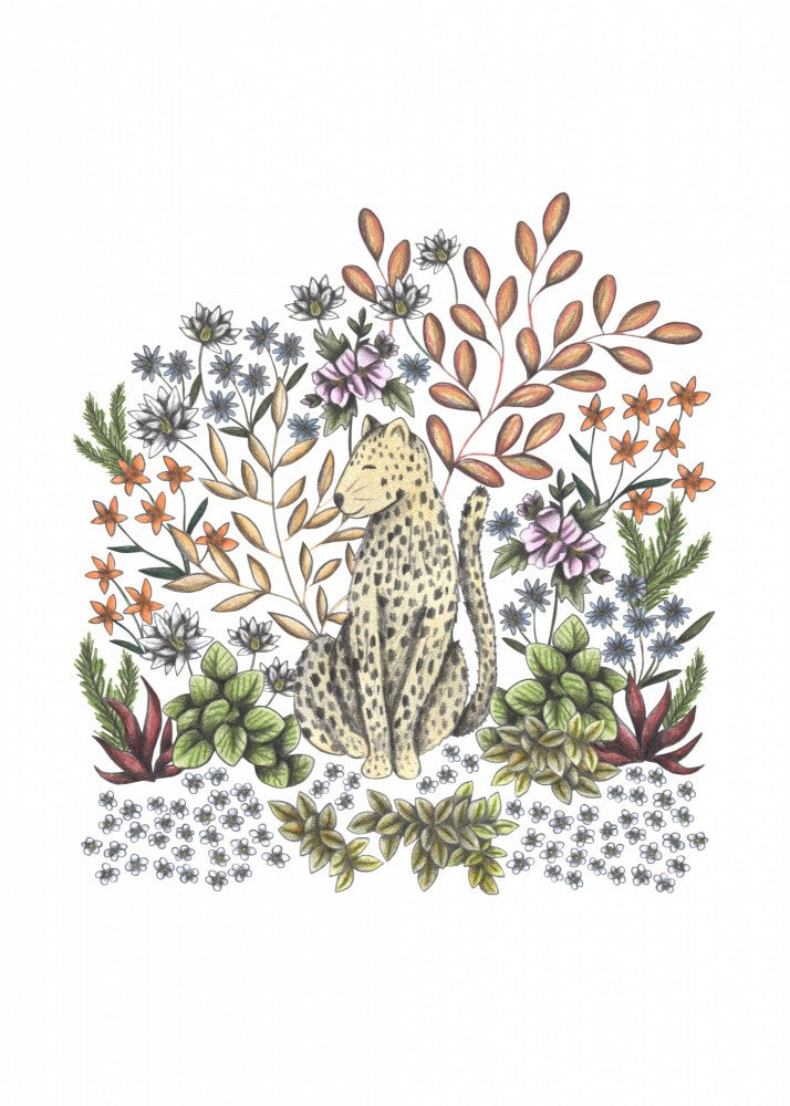 SAFARI Leopard