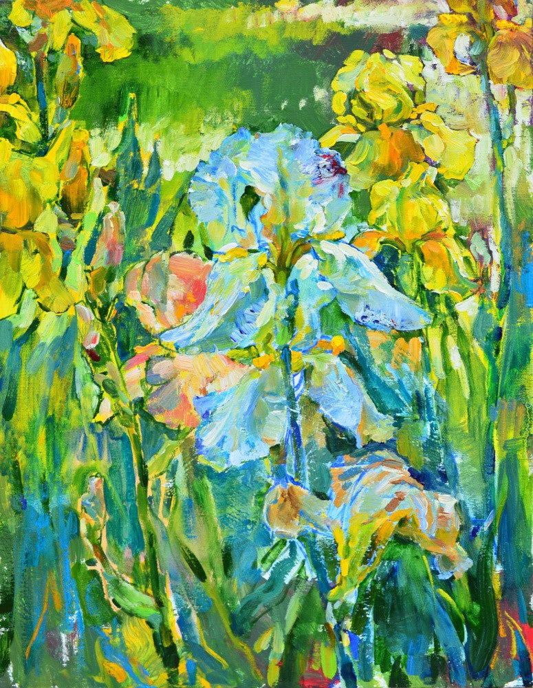 White irises