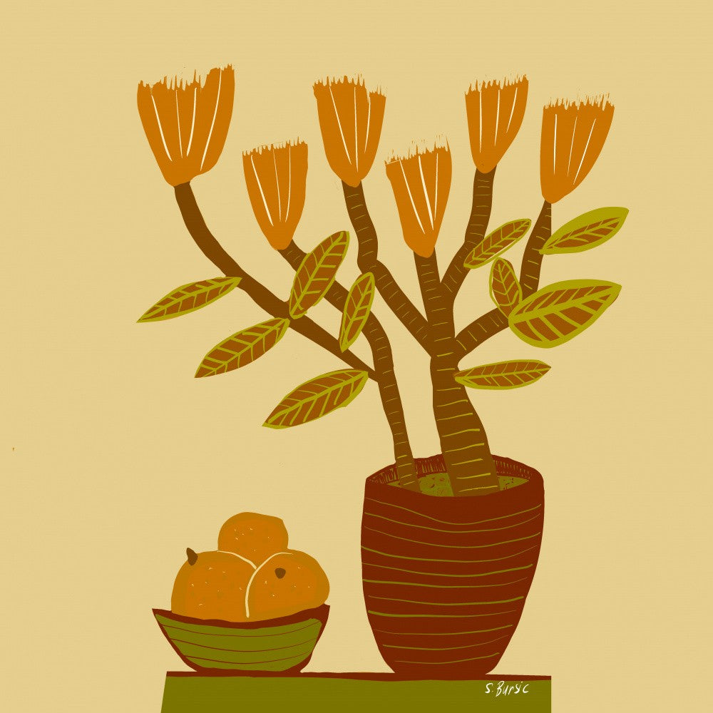 Potted florals