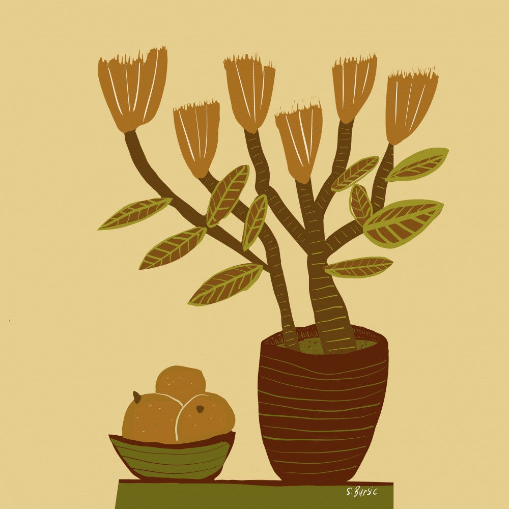 Potted florals rusts