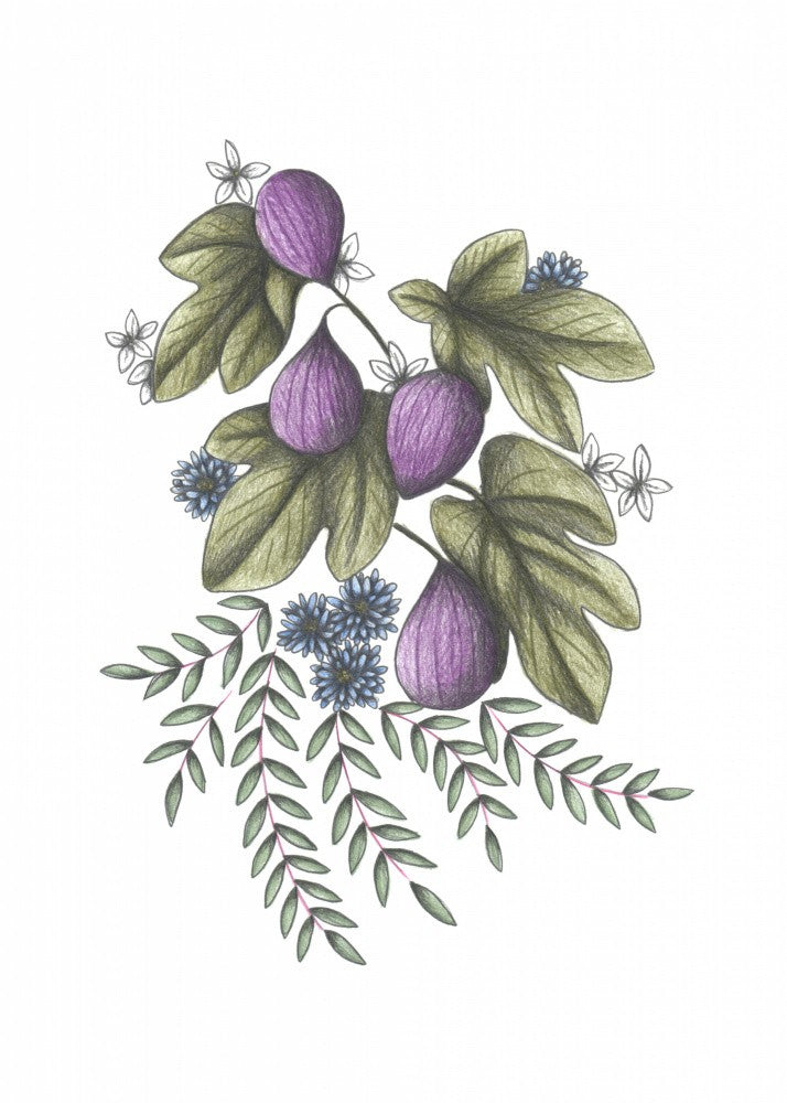 Figs &amp; Flowers